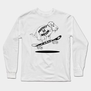 Capybara Skateboarding Long Sleeve T-Shirt